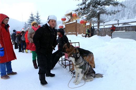 冬季来东北吧，体验 -34度的的冰凉-吉林市,雪乡,雾凇岛