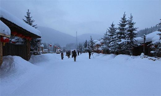 冬季来东北吧，体验 -34度的的冰凉-吉林市,雪乡,雾凇岛