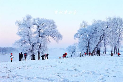 冬季来东北吧，体验 -34度的的冰凉-吉林市,雪乡,雾凇岛