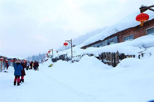 冬季来东北吧，体验 -34度的的冰凉-吉林市,雪乡,雾凇岛