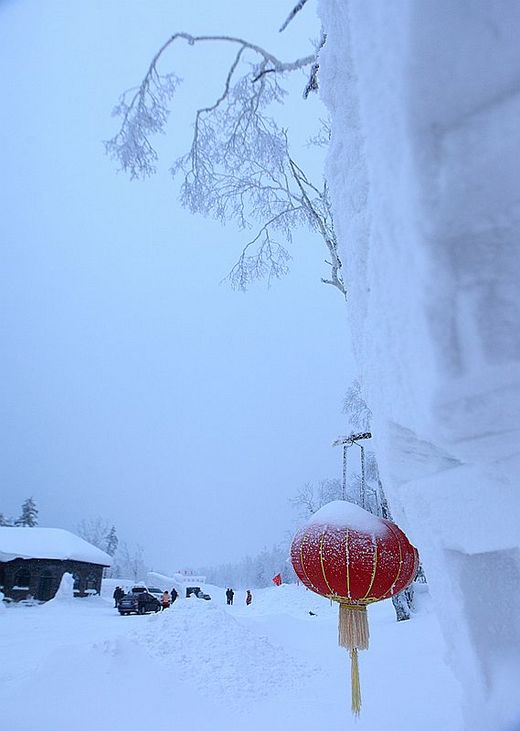 冬季来东北吧，体验 -34度的的冰凉-吉林市,雪乡,雾凇岛