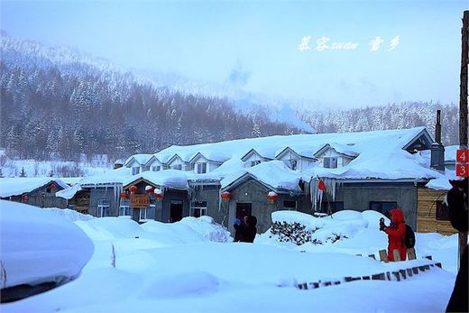 冬季来东北吧，体验 -34度的的冰凉-吉林市,雪乡,雾凇岛