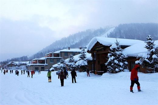 冬季来东北吧，体验 -34度的的冰凉-吉林市,雪乡,雾凇岛