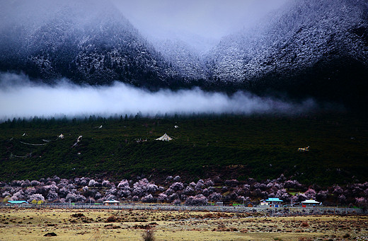 西藏最柔美的地方-林芝