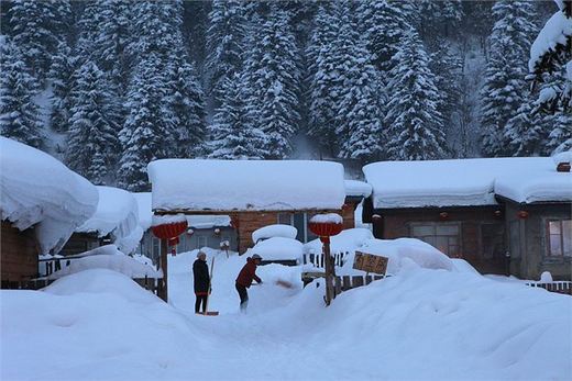 冬季来东北吧，体验 -34度的的冰凉-吉林市,雪乡,雾凇岛