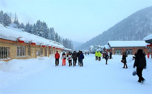 冬季来东北吧，体验 -34度的的冰凉-吉林市,雪乡,雾凇岛