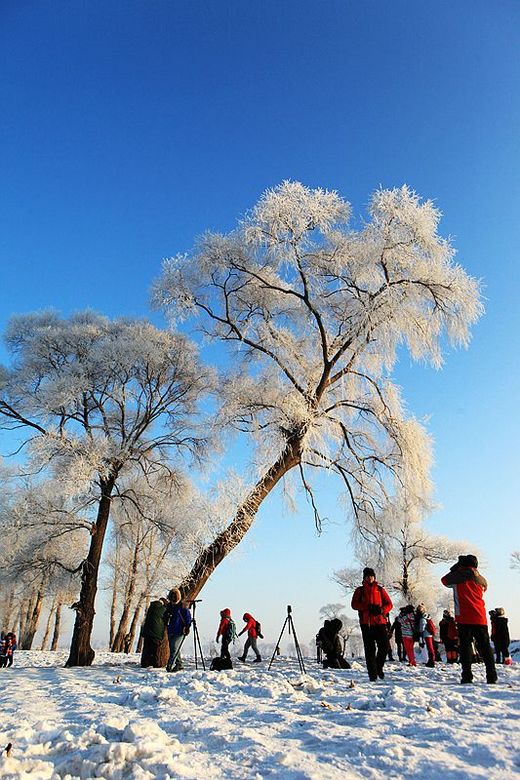 冬季来东北吧，体验 -34度的的冰凉-吉林市,雪乡,雾凇岛