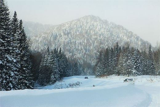 冬季来东北吧，体验 -34度的的冰凉-吉林市,雪乡,雾凇岛