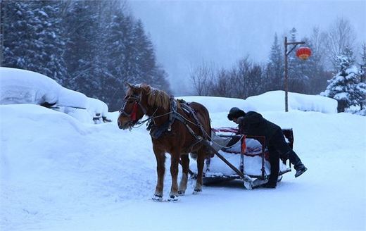 冬季来东北吧，体验 -34度的的冰凉-吉林市,雪乡,雾凇岛