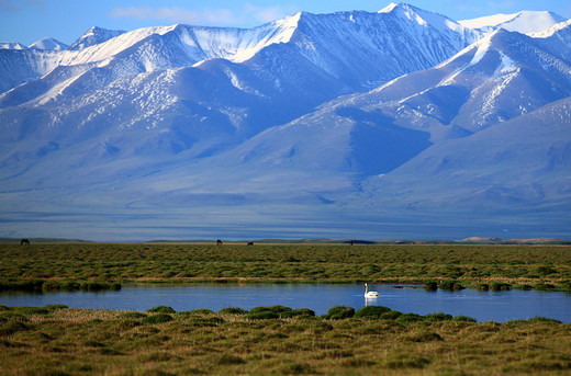 赛里木湖，大西洋吹来的最后一滴眼泪-天山,新疆