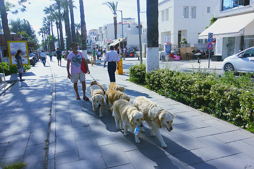 重拾丝绸之旅 邂逅蓝色天堂（棉花堡、博德鲁姆bodrum）-土耳其