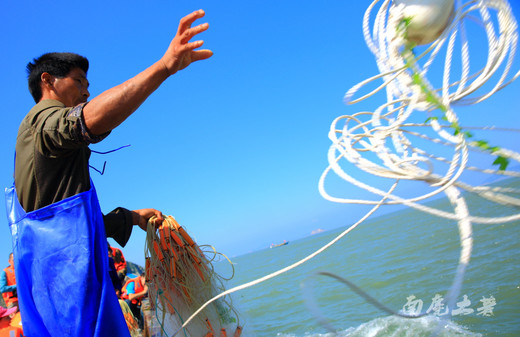 野生大黄鱼成稀有，东矶岛渔民一条一条捕上来-临海市,台州