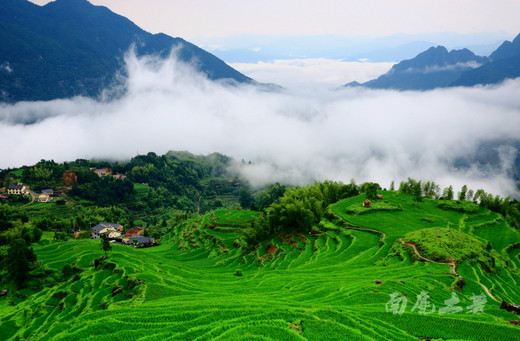 云飞雾缈的华东最大梯田别样美-丽水,云和梯田,云和县