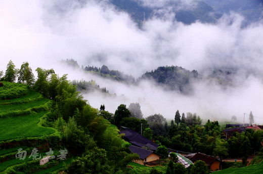 云飞雾缈的华东最大梯田别样美-丽水,云和梯田,云和县