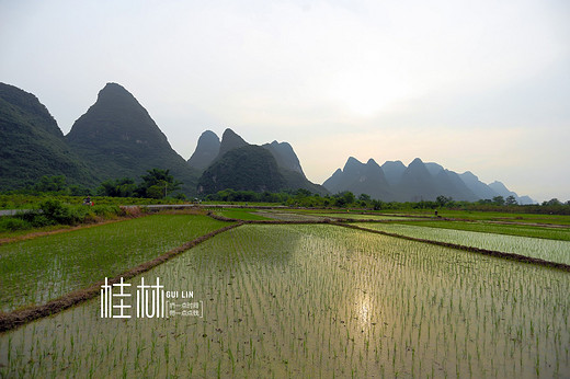 ​画中五日，300美图记录流淌的桂林欢脱的阳朔（二）-龙脊梯田,漓江