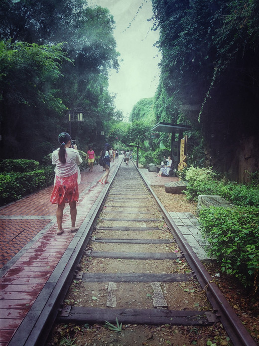 厦门，非去不可的地方-环岛路,南普陀寺,厦门大学,中山路-厦门