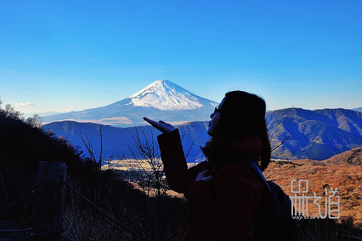 槑小米の道-北海道+东京+箱根12天修行之旅－后篇 东京＋箱根-涩谷,伏见稻荷大社,京都,箱根神社,富士山