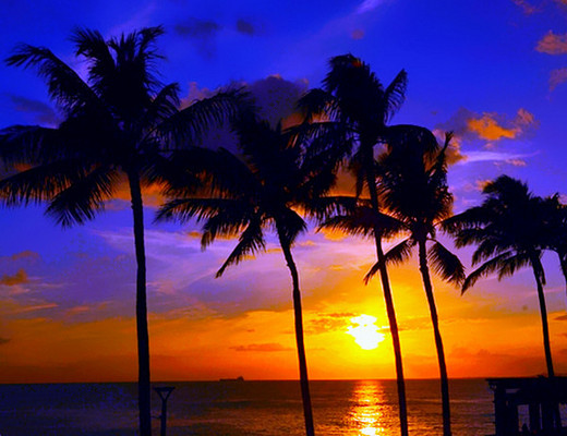 夏威夷日落—原始与古老点亮繁华 （二）-瓦胡岛,美国