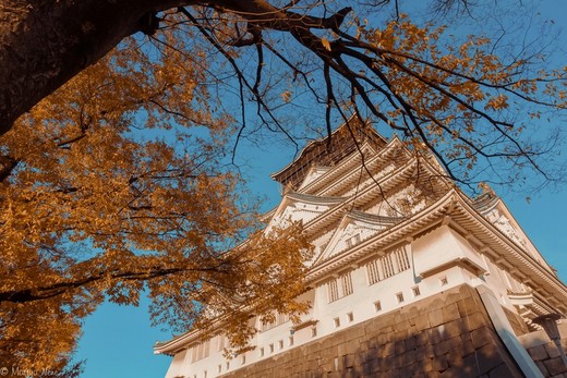 意外的邂逅----大阪城公园绚烂的日落-四天王寺,心斋桥,靖国神社