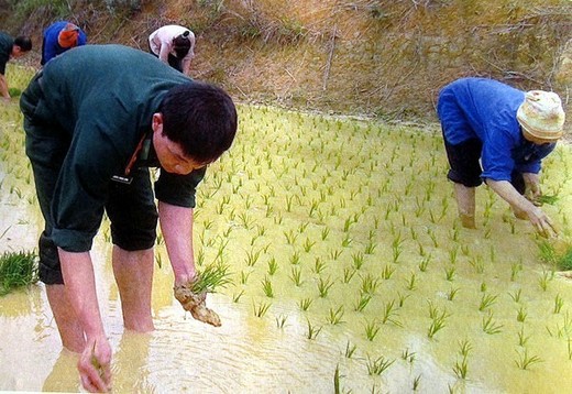 看看那个不一样的沙巴 黑苗红瑶和她们的梯田 （三）-越南