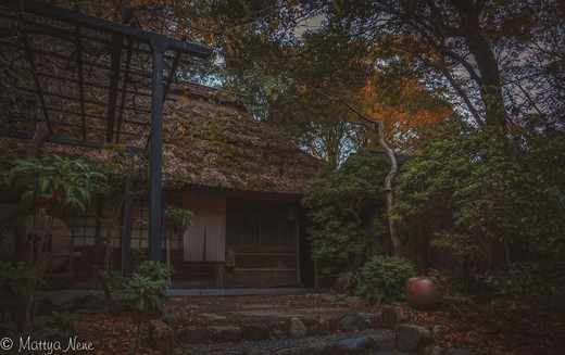 京都，岚山，岚电花灯路-天龙寺,日本