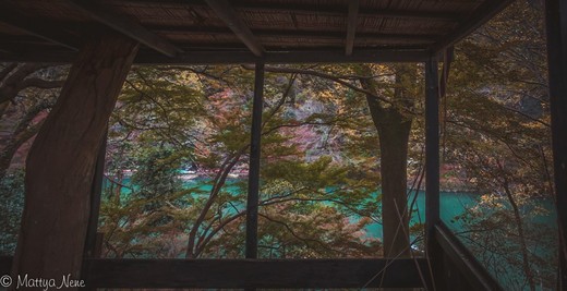 京都，岚山，岚电花灯路-天龙寺,日本