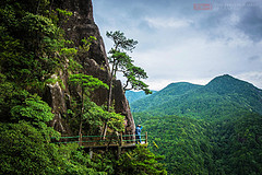 探寻浙江的高山原始森林“龙泉山”
