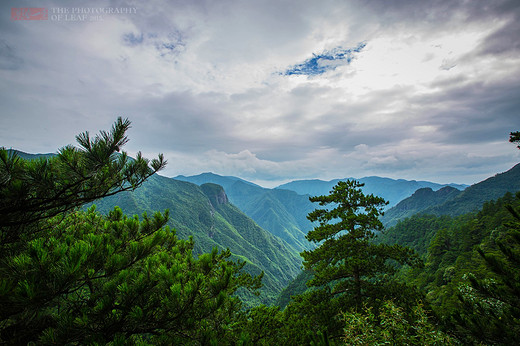 探寻浙江的高山原始森林“龙泉山”-丽水,龙泉山旅游度假区,龙泉市