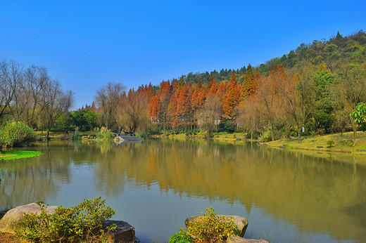 佛家净地，发现茶亭-绍兴,浙江