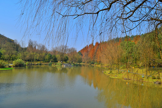 佛家净地，发现茶亭-绍兴,浙江