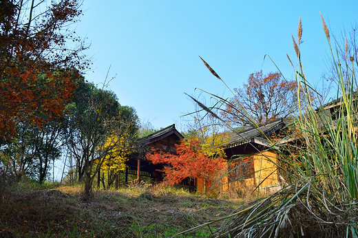 佛家净地，发现茶亭-绍兴,浙江