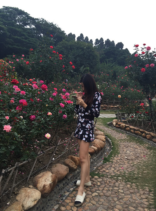 关于日常、旅行服装搭配的小心得