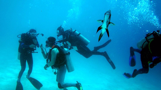 仙本那，通往潜水天堂的彼岸 （下）-斗湖,马达京岛,马布岛,马来西亚
