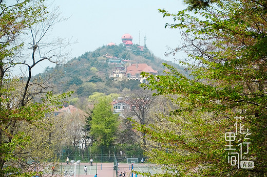 青岛攻略~花里行间【1】-劈柴院,中国海洋大学,极地海洋世界,五四广场,第一海水浴场