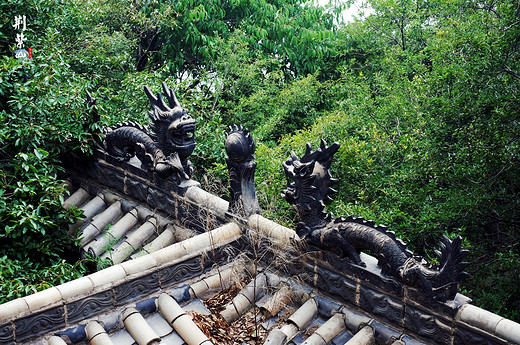 【洛阳】登紫荆之巅,尽览黄河小浪底-关林,白马寺,龙门石窟