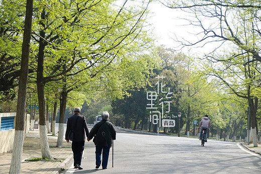 青岛攻略~花里行间【2】-极地海洋世界,奥帆中心,第一海水浴场,八大关