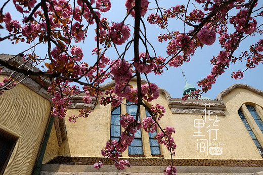 青岛攻略~花里行间【1】-劈柴院,中国海洋大学,极地海洋世界,五四广场,第一海水浴场