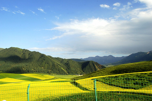 丝绸遗韵，青海湖大环线 （7）-嘉峪关,莫高窟,敦煌,山丹军马场