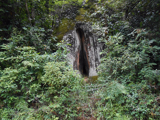 三天两晚七月丹霞山登山记-广东