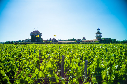 寻找南法在夏天(3)——沉醉波尔多葡萄酒、马赛阳光-普罗旺斯,法国
