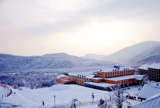 成都，一座来了就不想离开的城市 （西岭雪山）