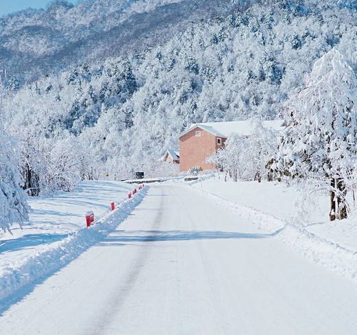 成都，一座来了就不想离开的城市 （西岭雪山）