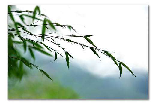 最牛理发师~贵州深度游-加榜梯田,甲秀楼,西江千户苗寨,黔东南,天星桥