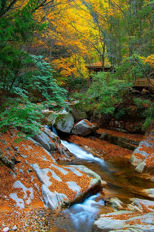 红叶成诗～光雾山-黄帝陵,秦始皇陵,秦始皇兵马俑,宝塔山,延安