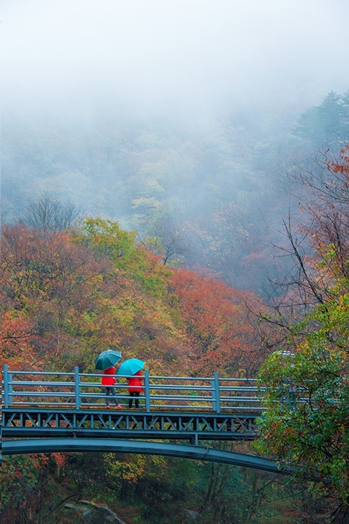 红叶成诗～光雾山-黄帝陵,秦始皇陵,秦始皇兵马俑,宝塔山,延安