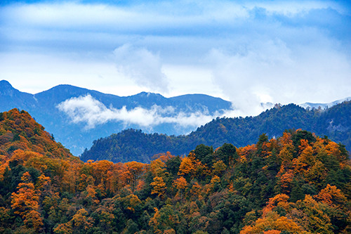 红叶成诗～光雾山-黄帝陵,秦始皇陵,秦始皇兵马俑,宝塔山,延安