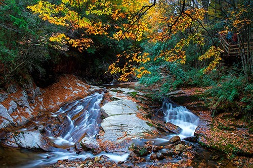 红叶成诗～光雾山-黄帝陵,秦始皇陵,秦始皇兵马俑,宝塔山,延安