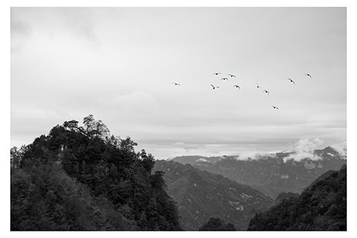 红叶成诗～光雾山-黄帝陵,秦始皇陵,秦始皇兵马俑,宝塔山,延安