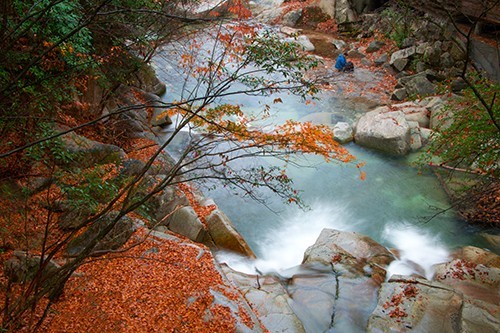 红叶成诗～光雾山-黄帝陵,秦始皇陵,秦始皇兵马俑,宝塔山,延安