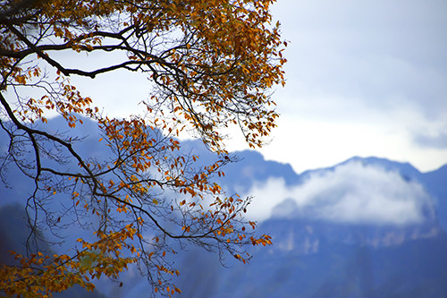 红叶成诗～光雾山-黄帝陵,秦始皇陵,秦始皇兵马俑,宝塔山,延安